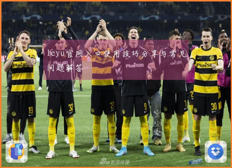 leyu官网入口使用技巧分享与常见问题解答