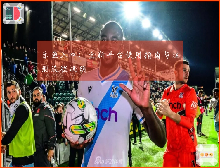 乐鱼入口:全新平台使用指南与注册流程说明