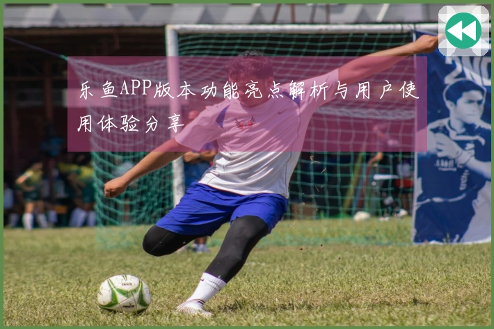 乐鱼APP版本功能亮点解析与用户使用体验分享