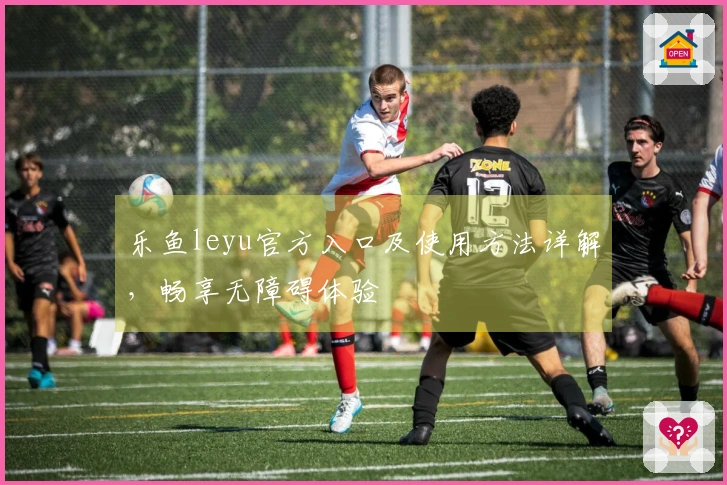 乐鱼leyu官方入口及使用方法详解，畅享无障碍体验